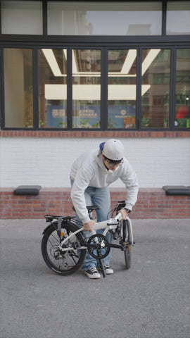 ROCKBROS 折りたたみ自転車 20inch メカニカルディスクブレーキ搭載 7speed SKN-20E